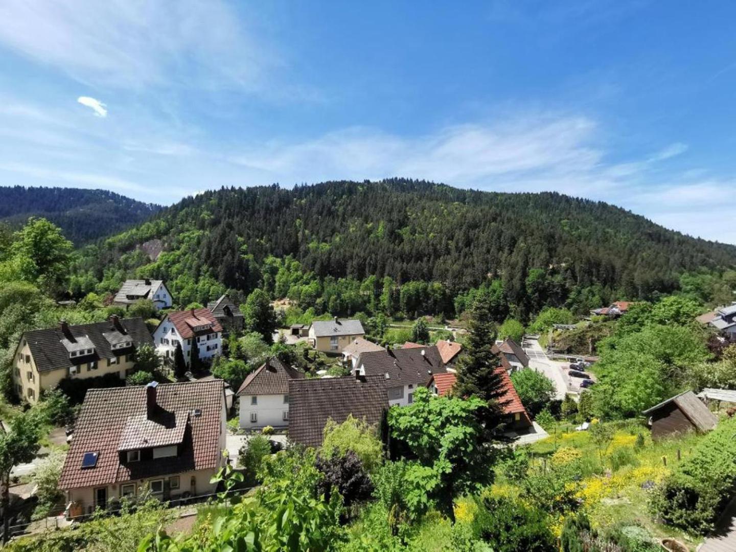 Ferienwohnung Am Rubersbach Hornberg Exterior photo